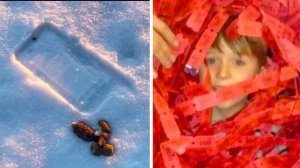 Удивительные истории удачи