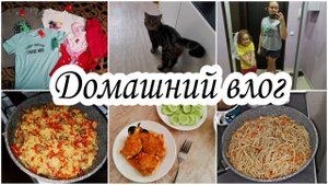 ЧЕМ КОРМЛЮ СВОЮ СЕМЬЮ? ОБЗОР ЕДЫ НА 3 ДНЯ/ НАШЕЙ ДЖЕССИ 5 МЕСЯЦЕВ.ПОКУПКИ С WILDBERRIES.