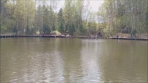 Обеденные поимки форели. Клёвое место, Лосиный остров, спорт-зона.