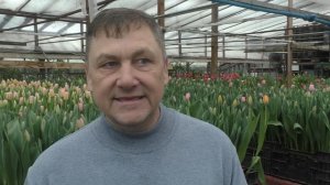 8 марта - Что дарим женщинам?