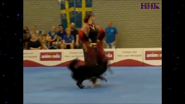 Вот это да вот это танц пара!!!