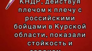 Военные КНДР в Курской области, показали стойкость и героизм