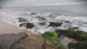 Старый карантин - берег моря