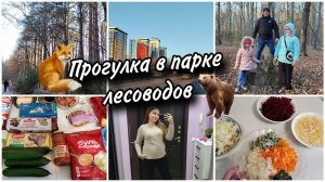 Изжога у беременныхГде храним всю обувь? Вкусный борщ Прогулка в парке