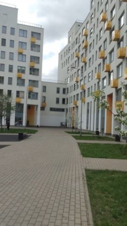 похолодание в подмосковье