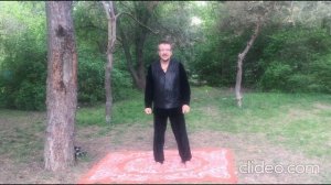 #Боевой_бадуандзинь для продвинутых  учеников стиля  "Орлан и барс".