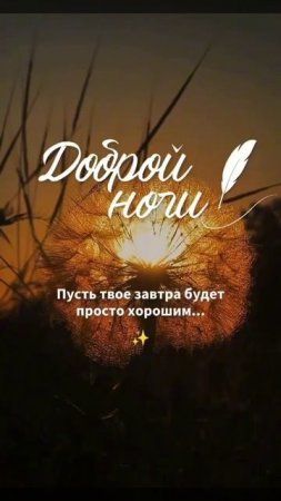 Доброй ночи.