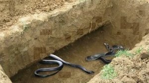 Hayrullo hamidov qabr azobi  Хайрулло Хамидов К'абр азоби