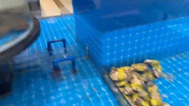 То кие Шады, в китайском ресторане. смотреть онлайн