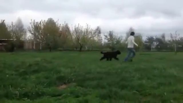 Бедовая Девчонка для Тер"Авалон с Порубежья Печенежского смотреть онлайн