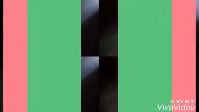 Короче говоря где кошка смотреть онлайн