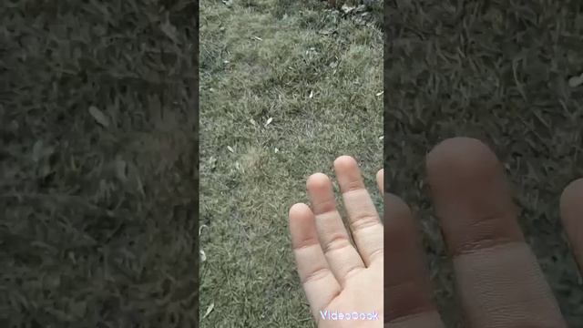 как сделать канал