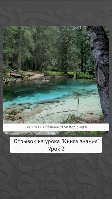Соблюдайте адаб на уроке вопросы после урока!  Динар абу Идрис ислам коран знание сунна вер
