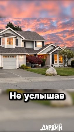история про кота спасителя 🤔🤔🤔
