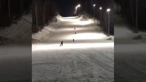 Горные лыжи