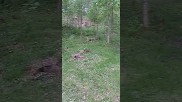 7 июня 2024 г. смотреть онлайн