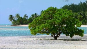 🔥РЕЛАКС ДЛЯ ПРОГУЛКИ И ХОРОШЕГО НАСТРОЕНИЯ, Лучшая музыка для души!🔥