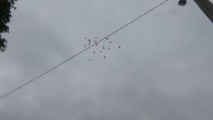День пограничника 2021 Ветлуга
