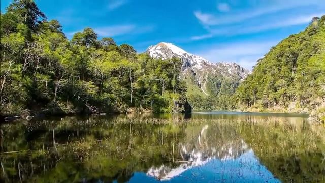 Футаж Природа 29 смотреть онлайн