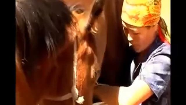 Динара Акулова Жайлоодо