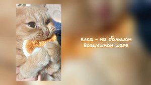 ПЛЕЙЛИСТ ИЗ ТВОЕГО ДЕТСТВА | часть 6 | 🌊🌞