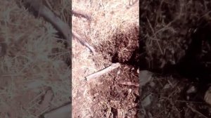 26 апреля небольшой коп металла