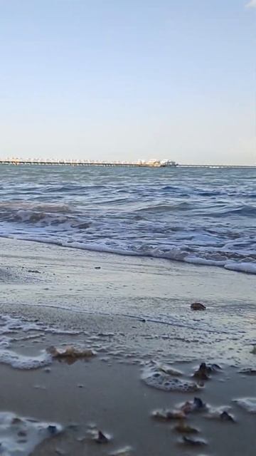 Когда ты очень сильно скучаешь по морю #shorts смотреть онлайн