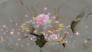 А любовь к тебе  такая нежная  Автор Катя Огонёк исп Г Погорельская