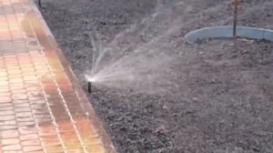 Робота форсунки Rain Bird R VAN на участке