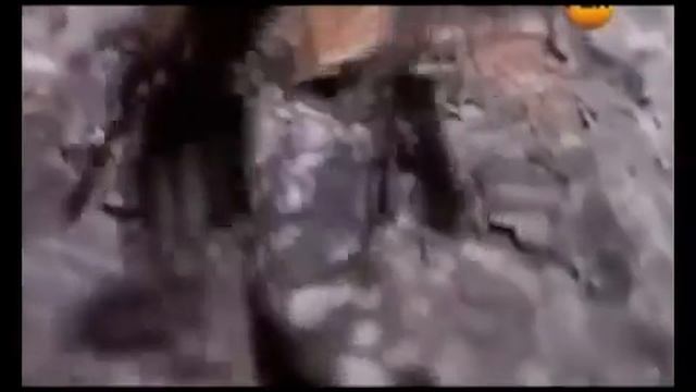 Америкийг айлгасан Оросын мафи смотреть онлайн