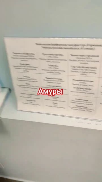 Немецкий майсенский фарфор Резвящиеся амуры, художественный музей, Петрозаводск смотреть онлайн