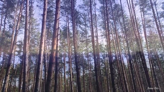 Л. ВЕЛИКАНОВА   Как без тебя я жила... смотреть онлайн