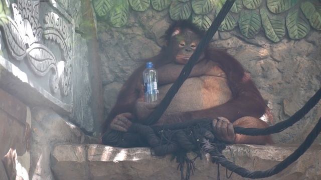 Жизнь удалась! смотреть онлайн