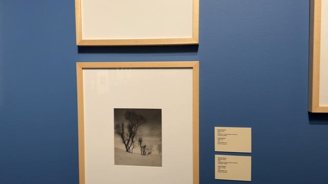 Москва/ медиа арт музей смотреть онлайн