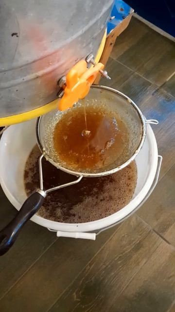 каштан или нет? смотреть онлайн