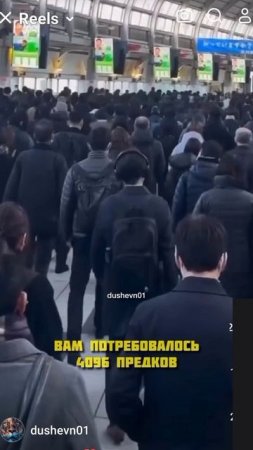 Почему вы родились
