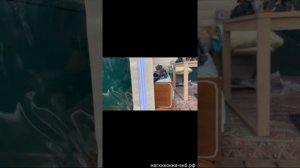 Монтаж мягких окон на металлическую конструкцию. Советы .Почему проще смонтировать каркас из брусков