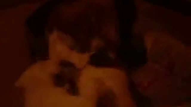 гладиаторы смотреть онлайн