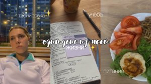 один день из моей жизни | учёба, тренировка, питание