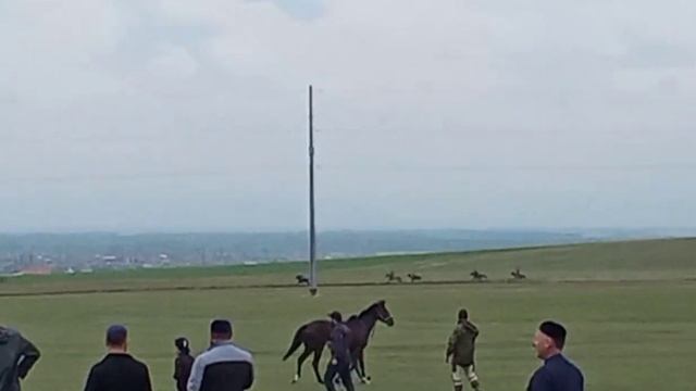 Скачки в Самашки.