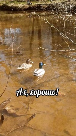 Ах, хорошо! 😄