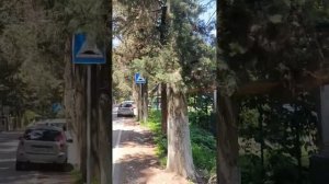 Лазаревский район, поселок Солоники. Краткий обзор для канала Алексеевские вечера. Июнь 2024.