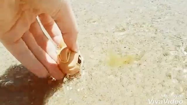 °○MV○° ЖаННа ФрИсКе смотреть онлайн