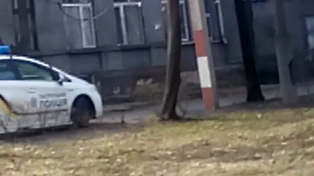 Кривой Рог Криминагеный город. смотреть онлайн