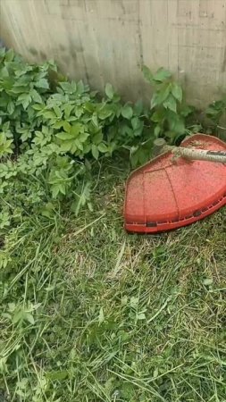 СЕЗОН ПОКОСА ТРАВЫ ОТКРЫТ☺🌱🌿