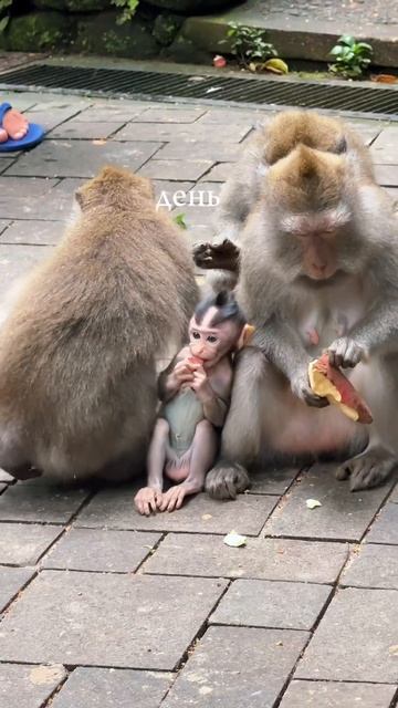 Bali #travel #бали #bali #путешествия #бали #makeup #медовыймесяц