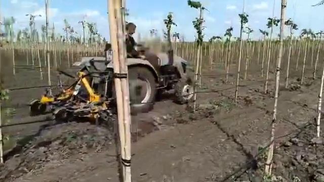 Прополка внутри ряда представляет собой сложную задачу для агронома. В питомнике Ярус делаем так :