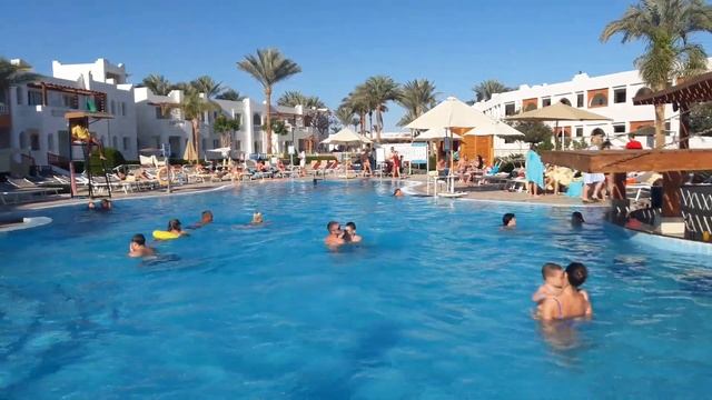 Египет 2020. Отель SUNRISE DIAMOND BEACH RESORT Египет Шарм эль Шейх 04.02.2020 смотреть онлайн