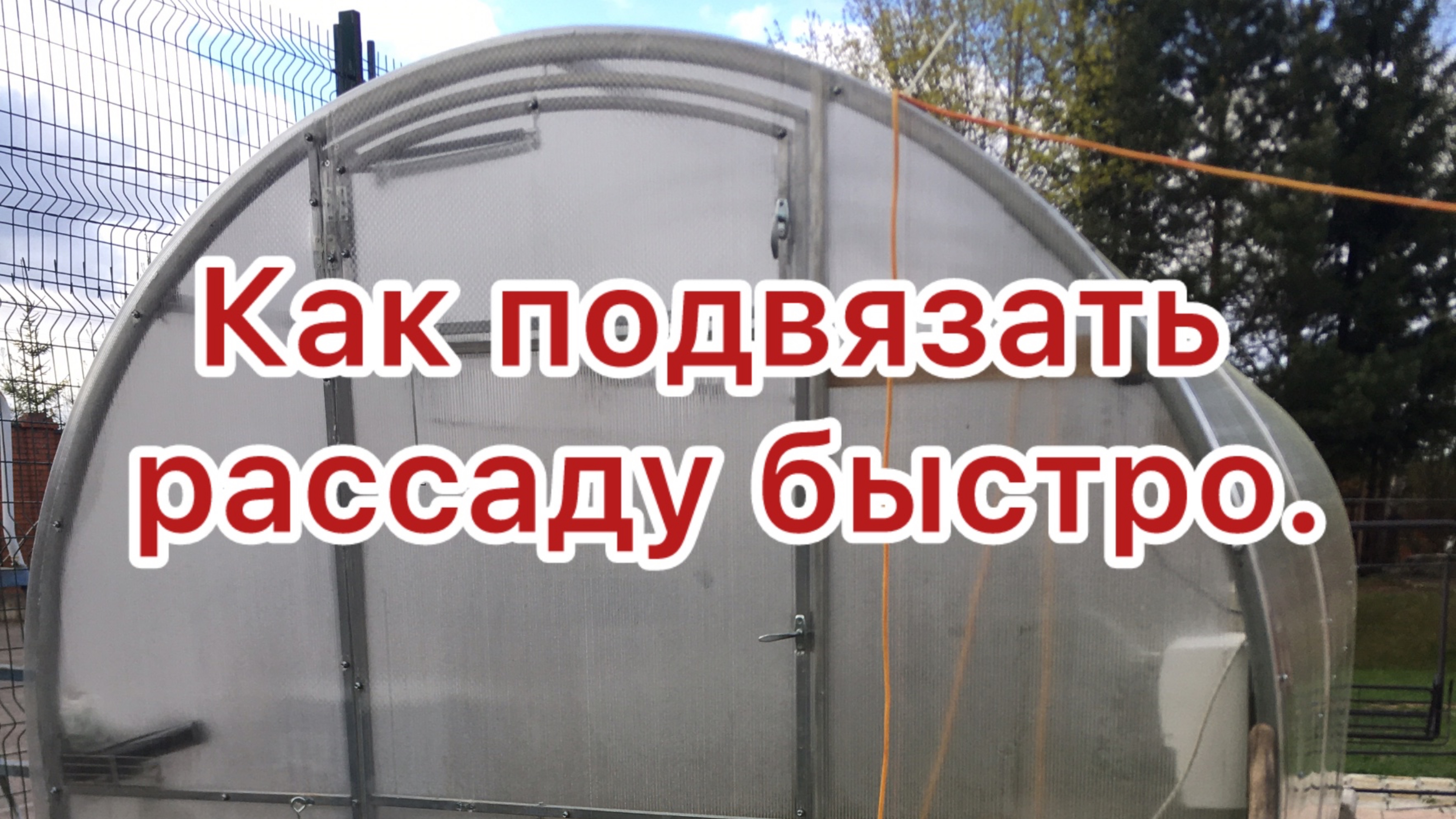Как подвязывать рассаду в теплице одной веревкой, не снимая из года в год.