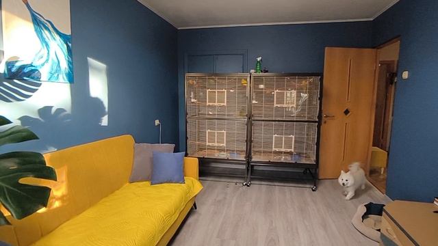 купить квартиру в сочи
